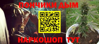 прущие грибы Нальчик