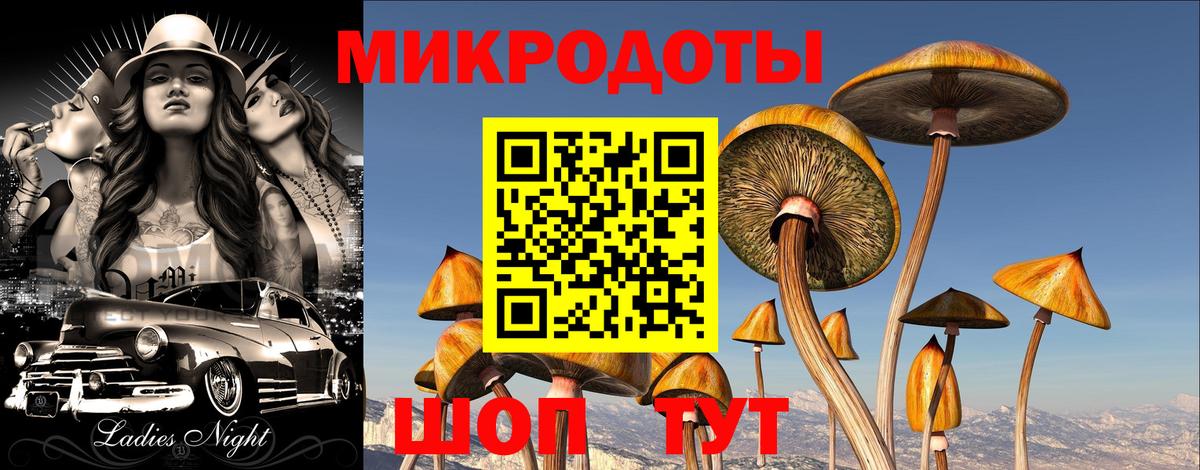 Галлюциногенные грибы Psilocybine cubensis  Вход с VPN  Галлюциногенные грибы мицелий  Томск 